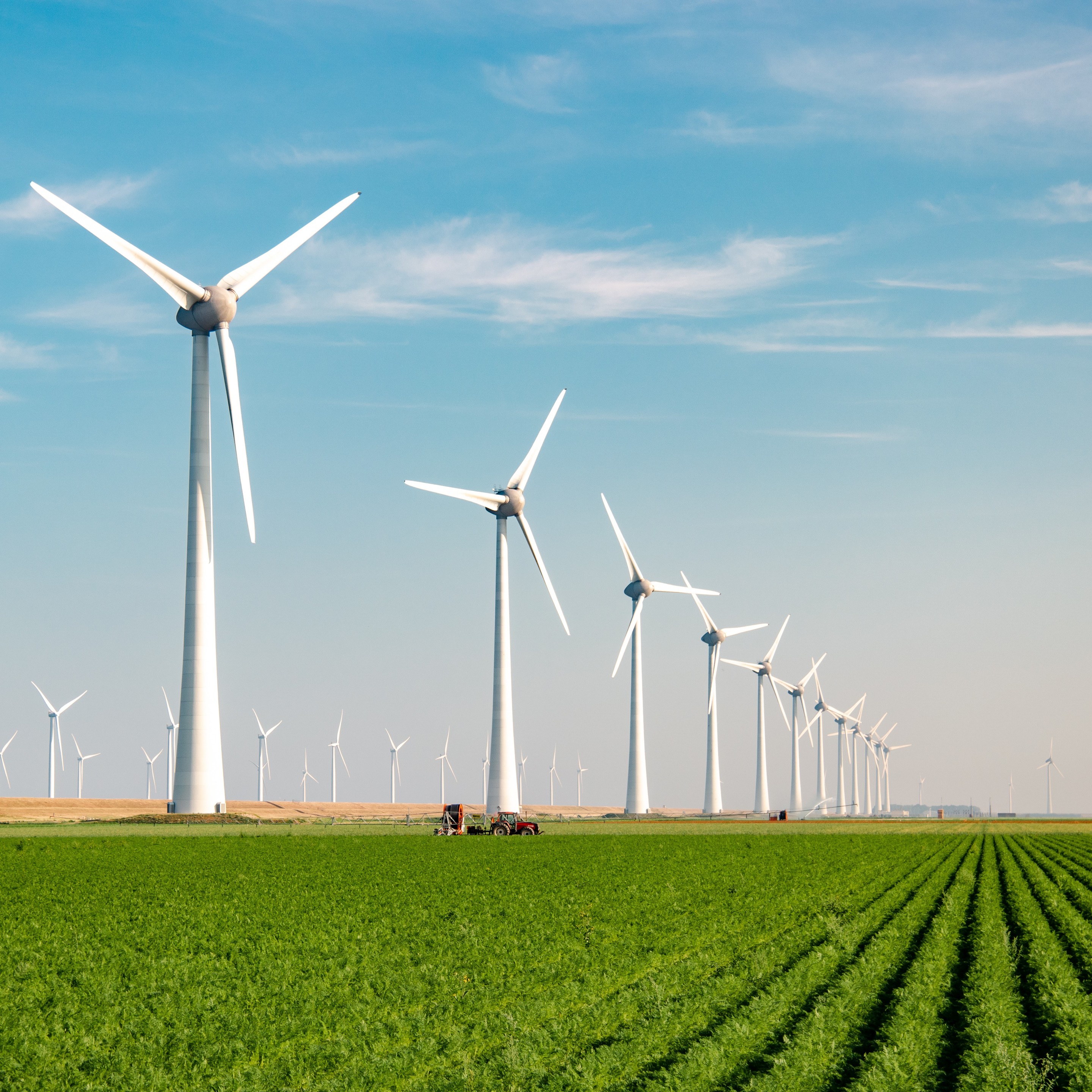 A photo of wind turbines in a field on a sunny day