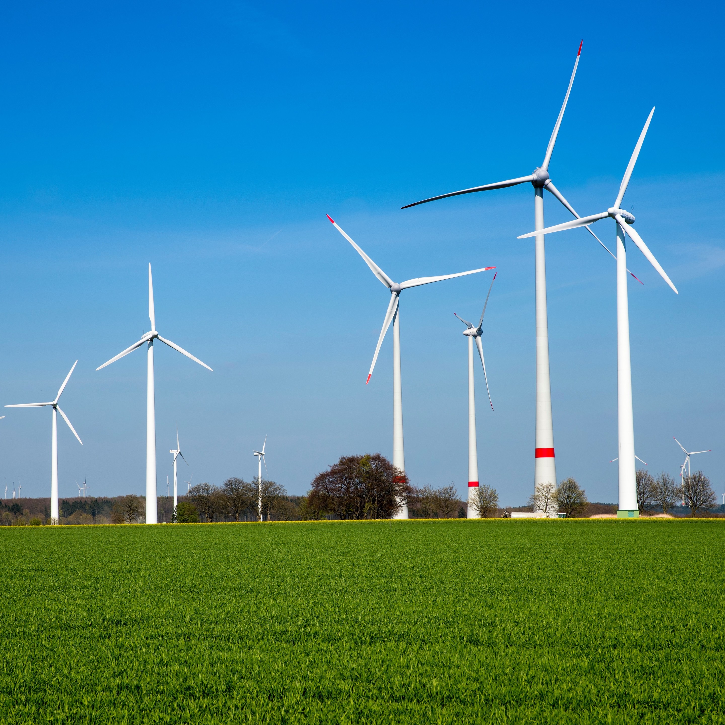 A photo of wind turbines in a field 