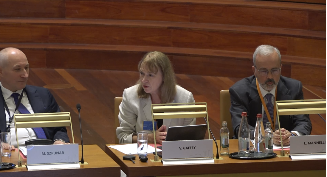 photo of Veronica Gaffey and panelists in the kick-off event